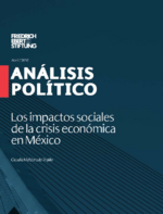 Los impactos sociales de la crisis económica en México