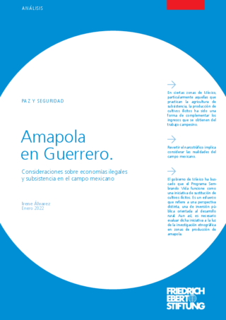 Amapola en guerrero