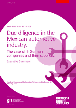 Due diligence in the Mexican automotive industry