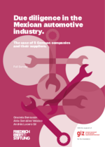 Due diligence in the Mexican automotive industry